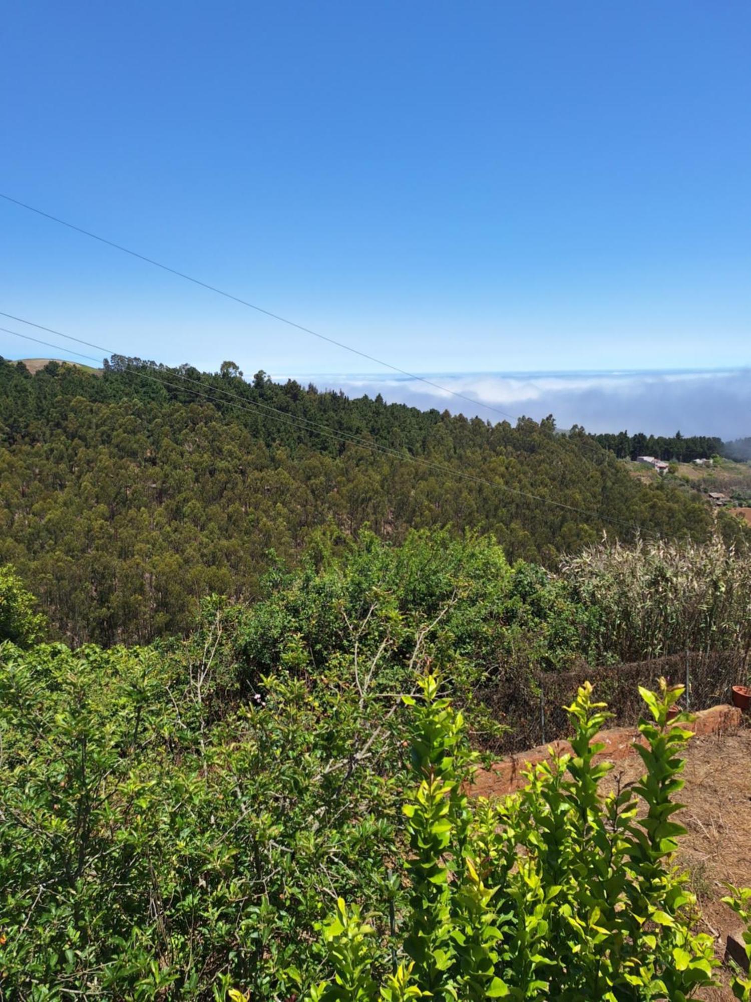 Finca Esther Las Palmas de Gran Canaria Exteriör bild